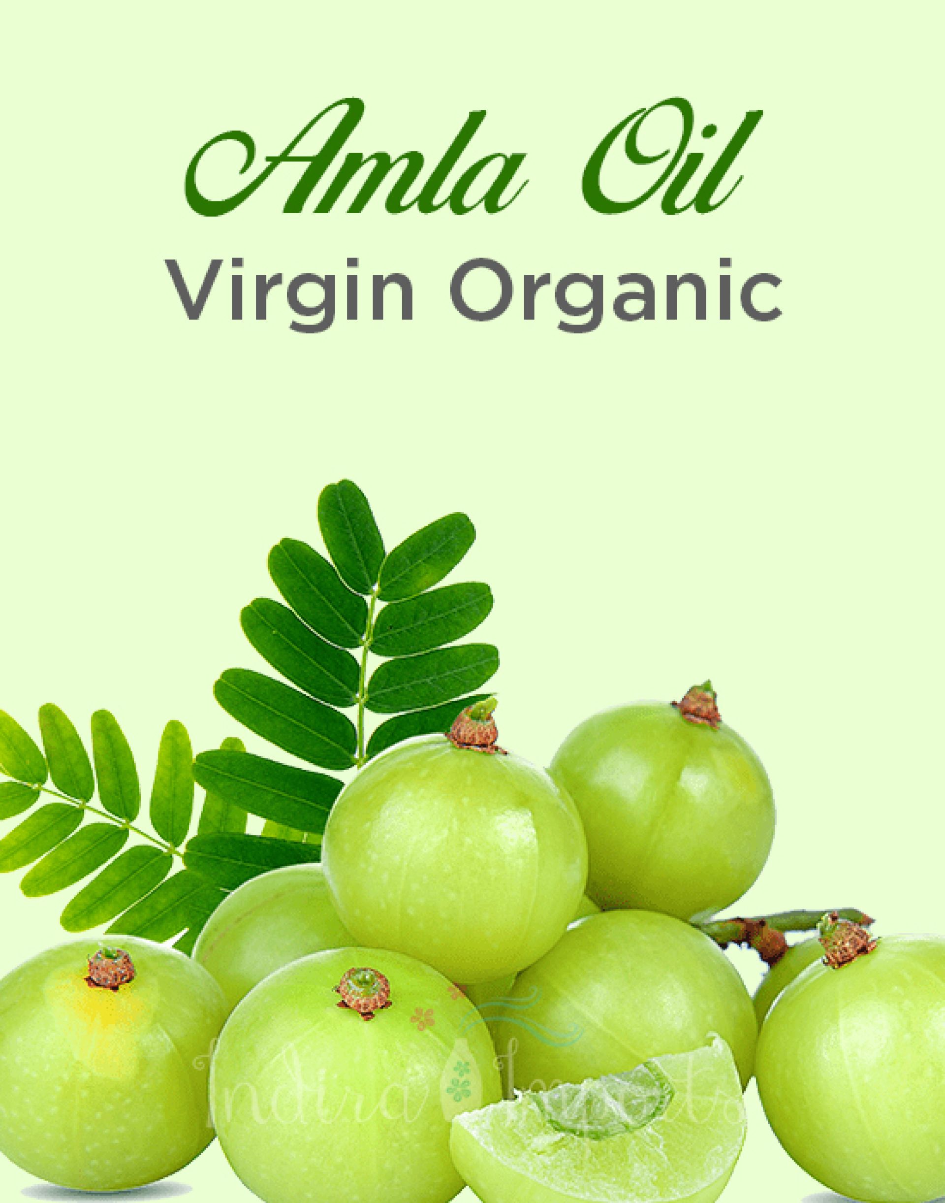 Organic Amla Hair Oil