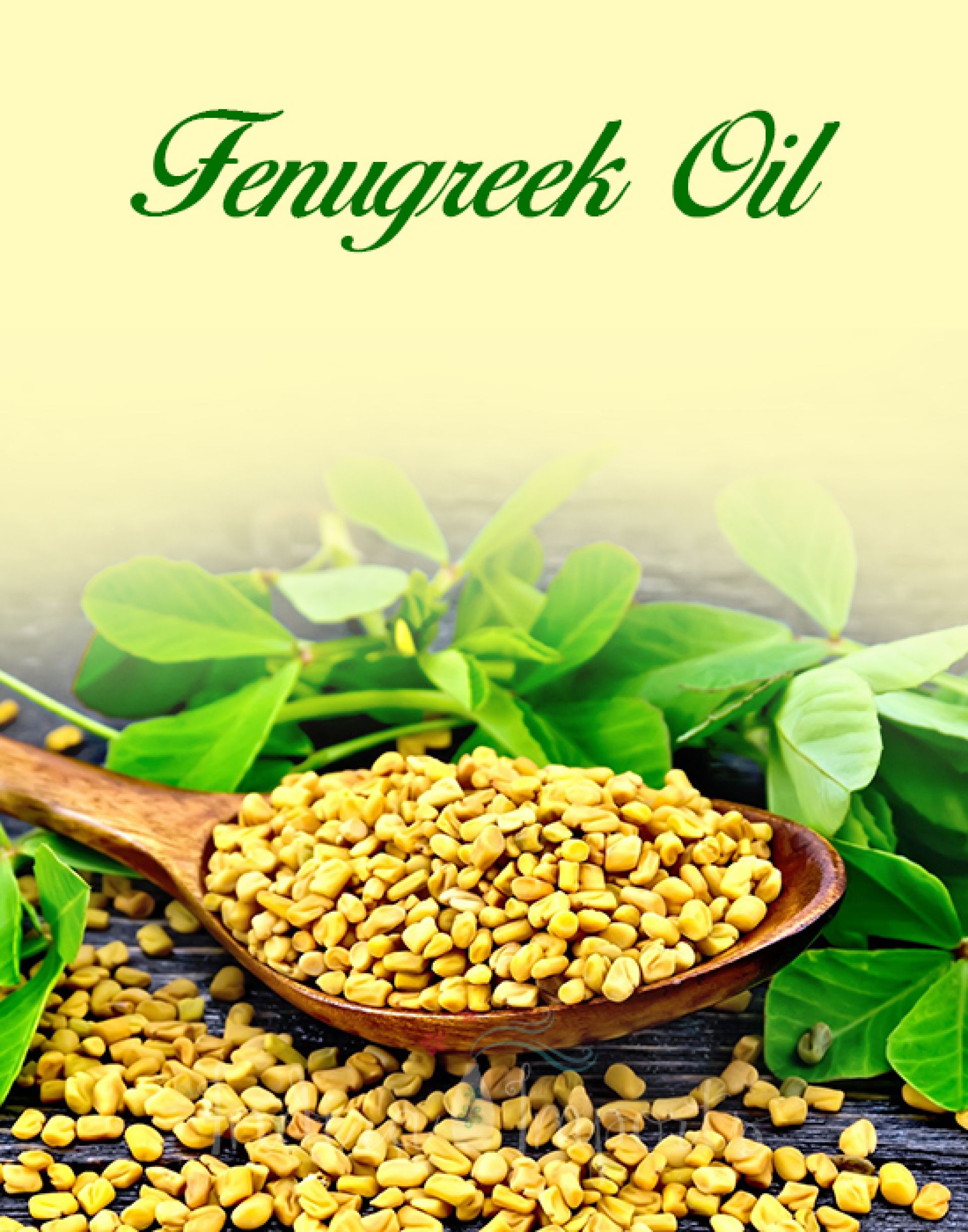 Fenugreek Oil