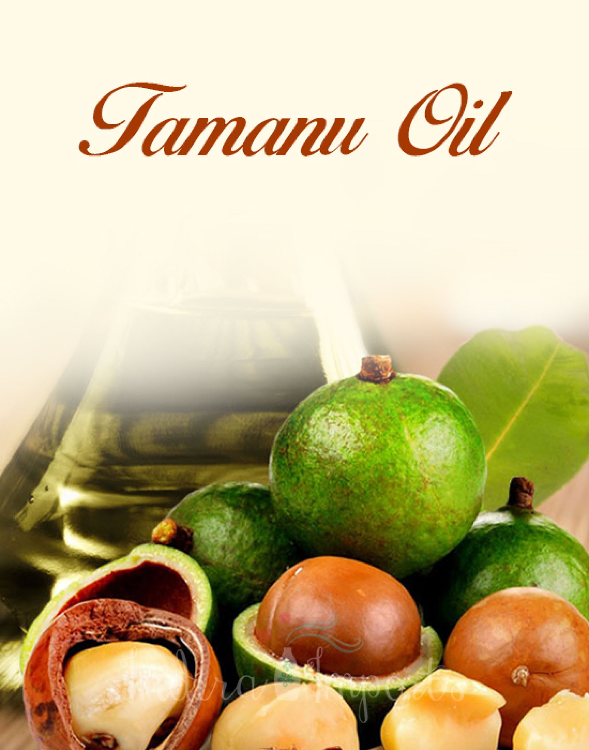 100% Pure Tamanu Oil