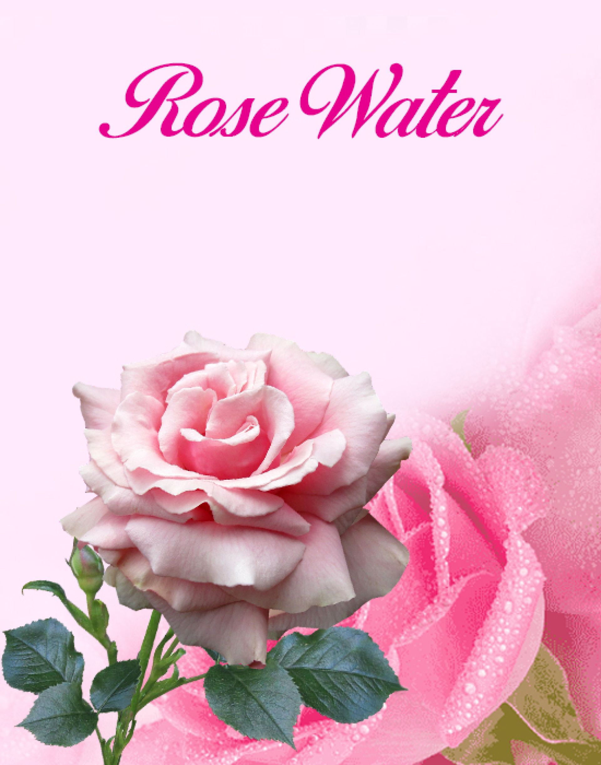 Rose Water