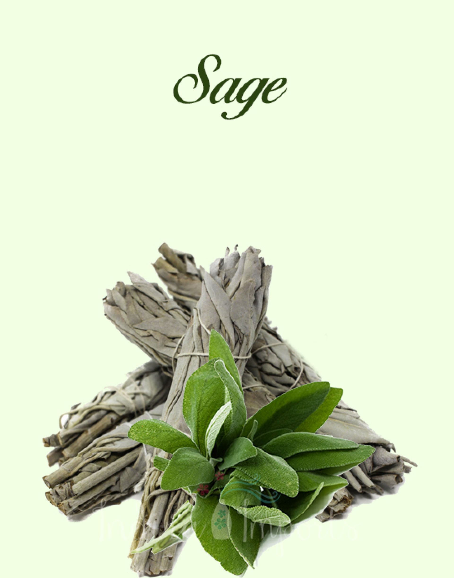 Sage