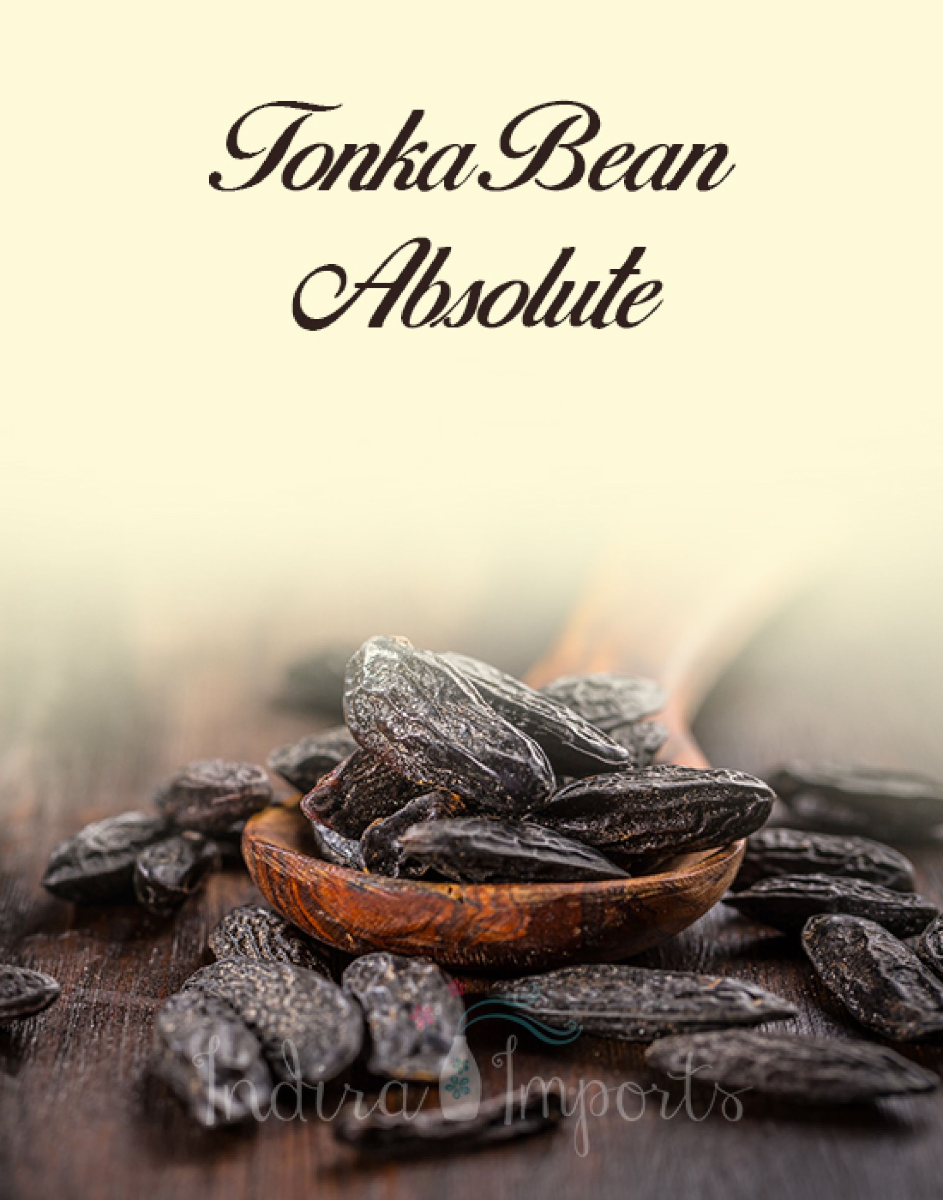 Tonka Bean Absolute