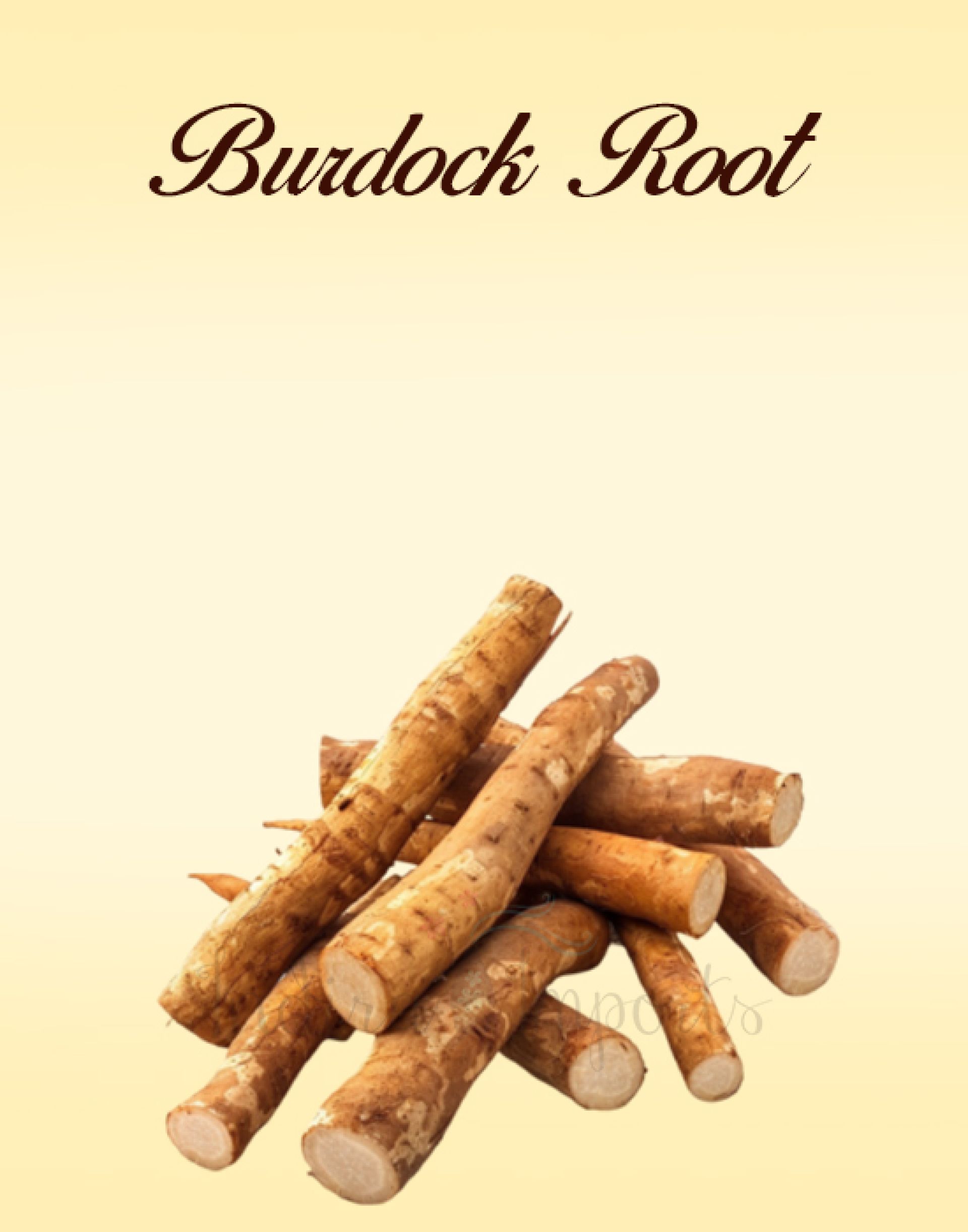 Burdock Root