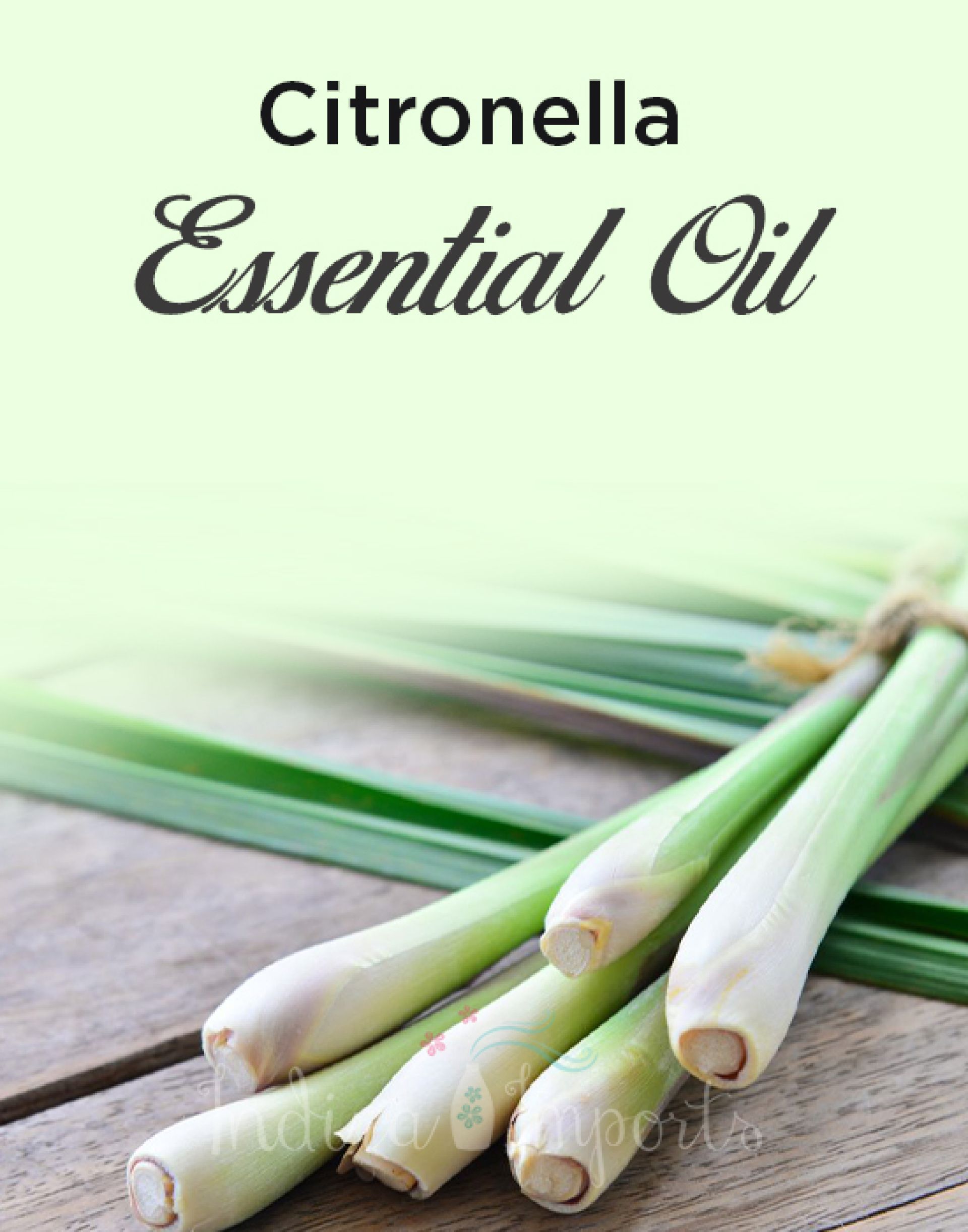 Citronella Essential Oil