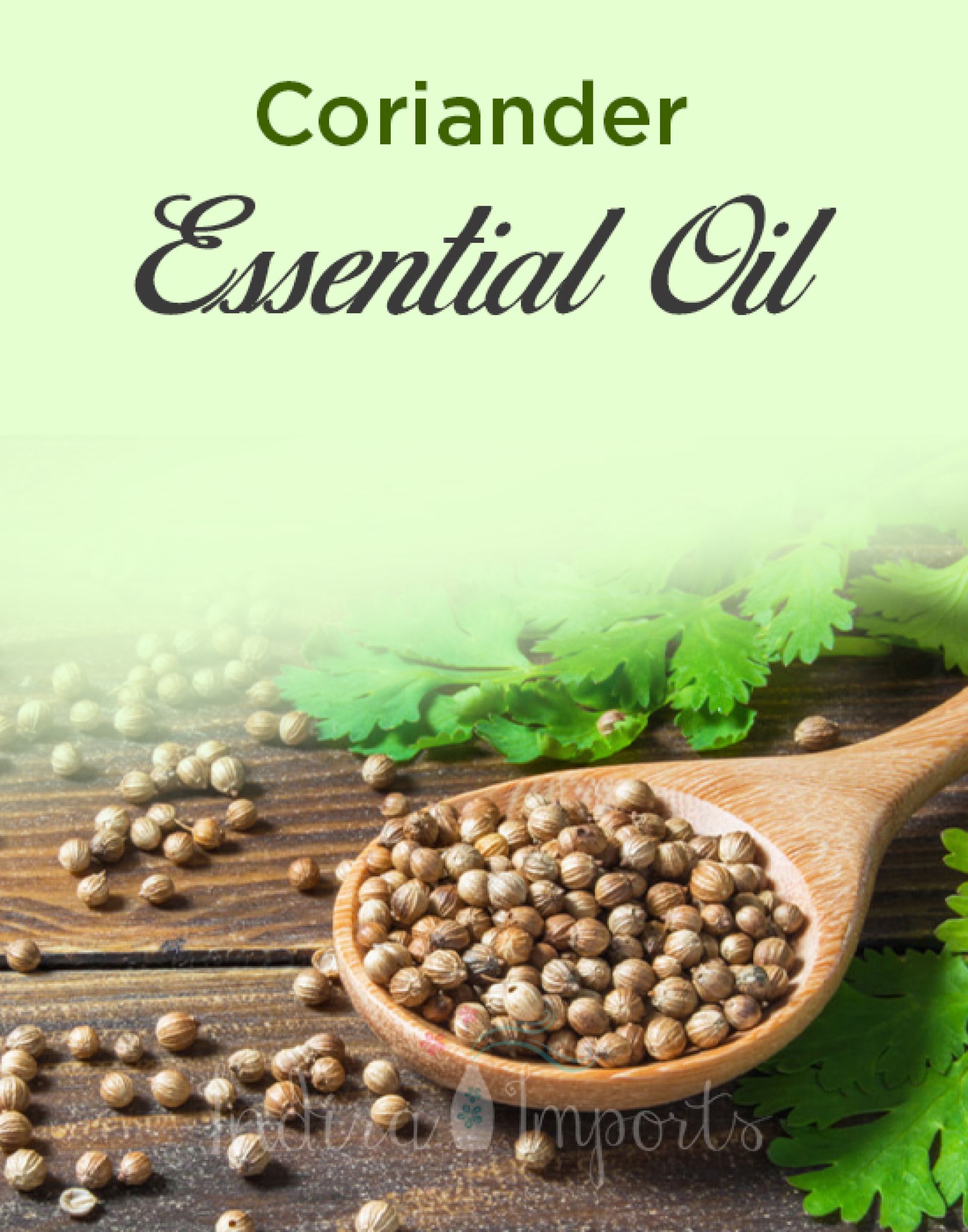 Coriander Essential Oil