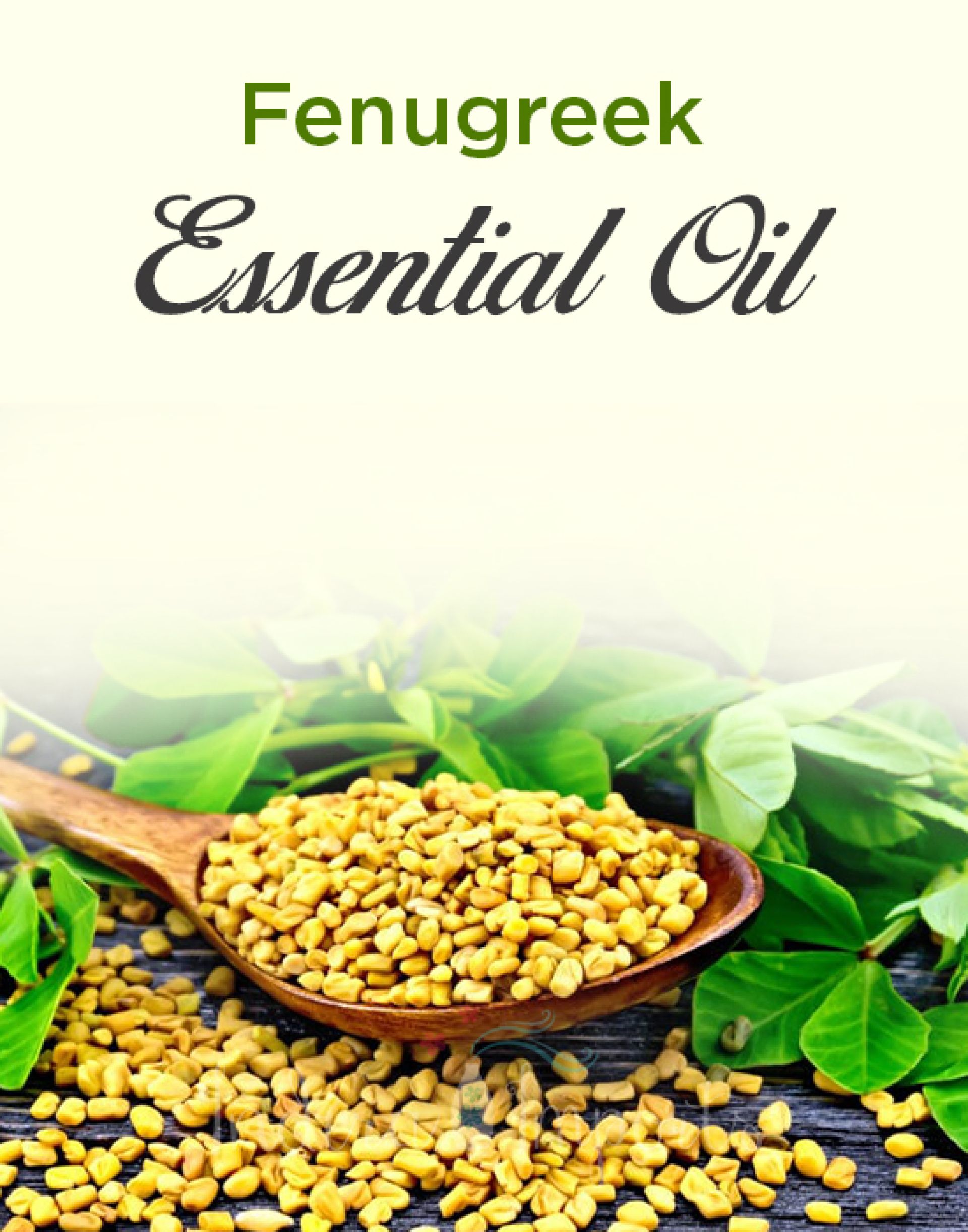 Fenugreek Essential Oil