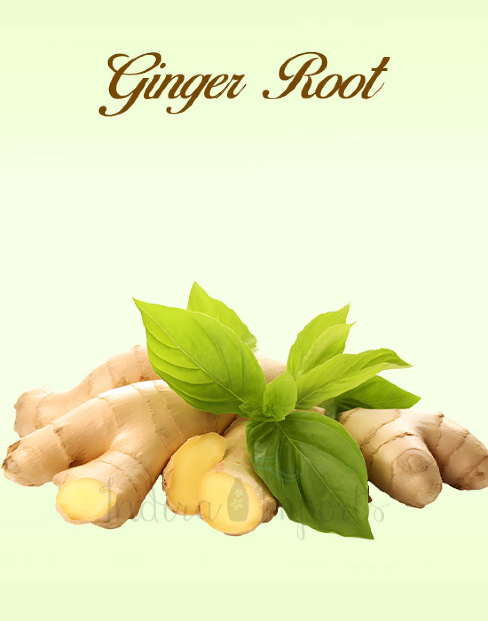 Ginger Root