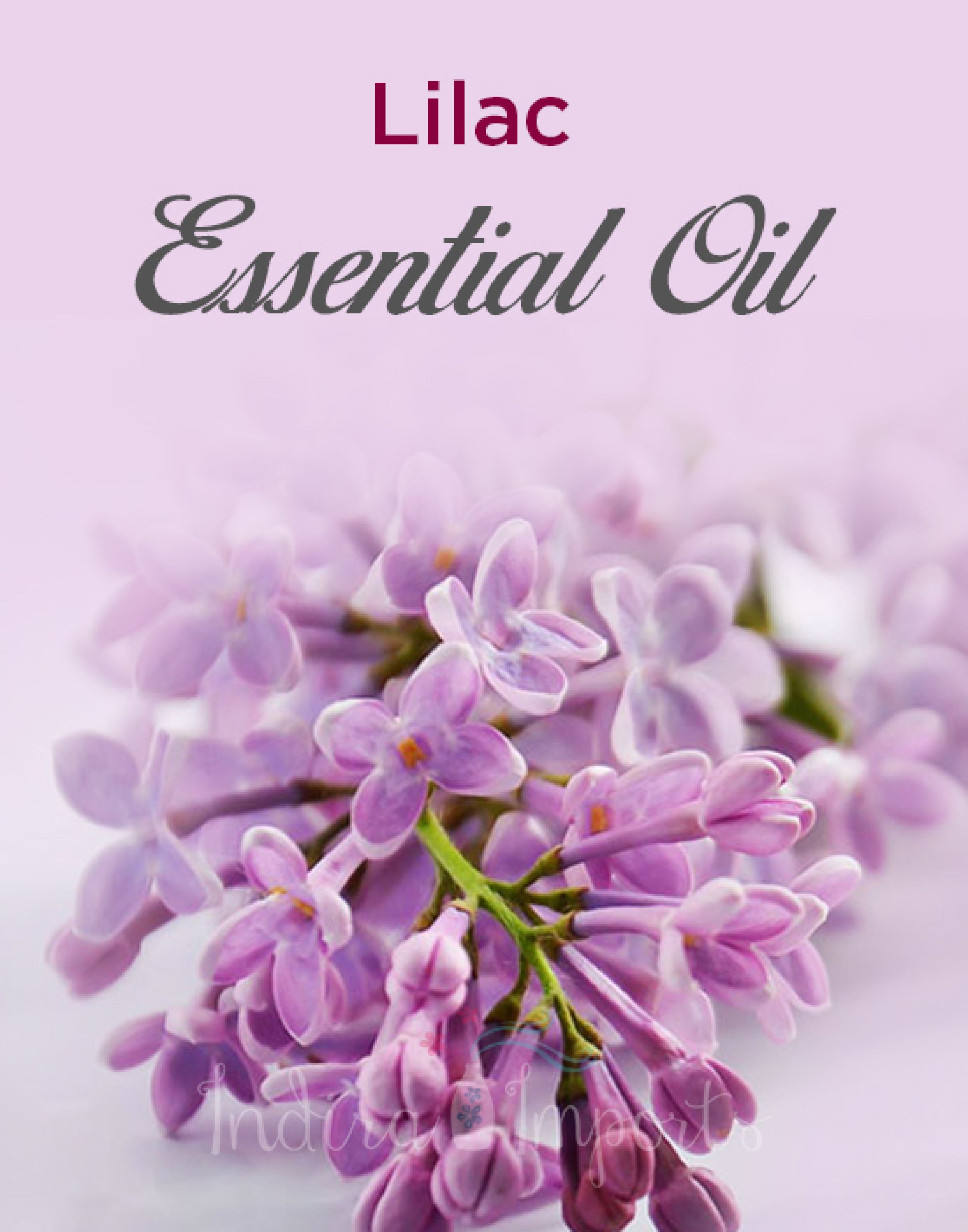 Lilac Essential Oil