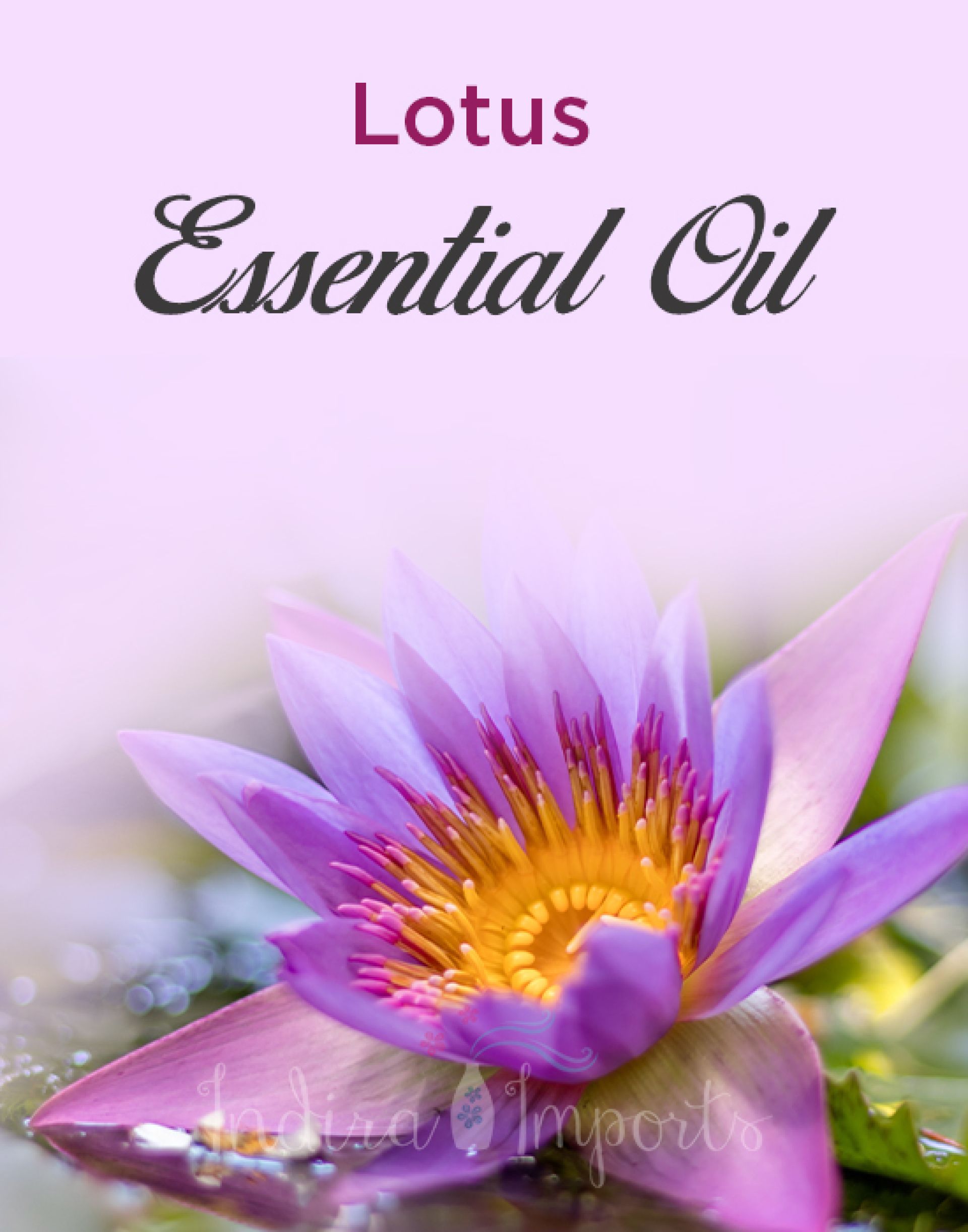 Lotus Essential Oil