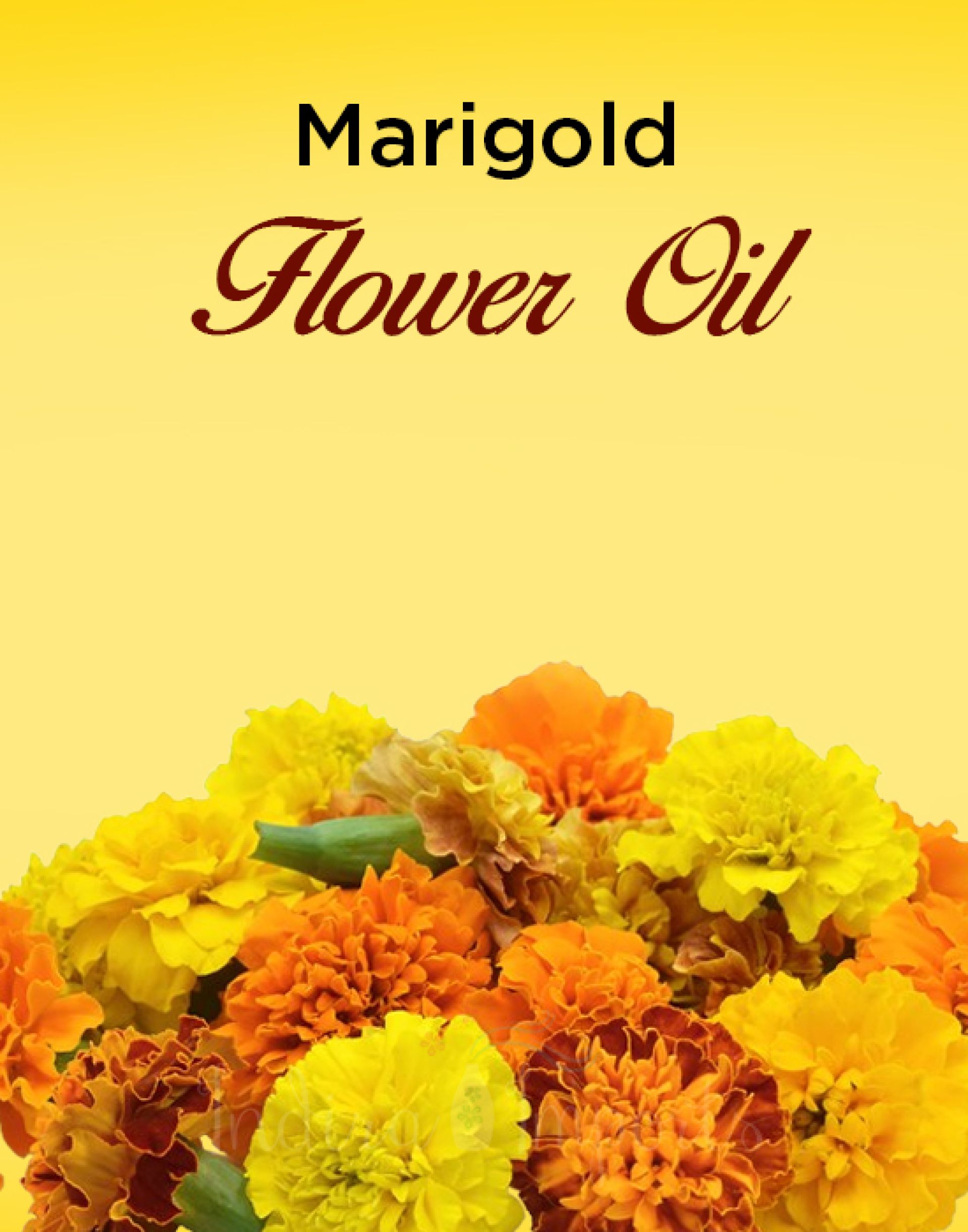 Marigold Flower Oil