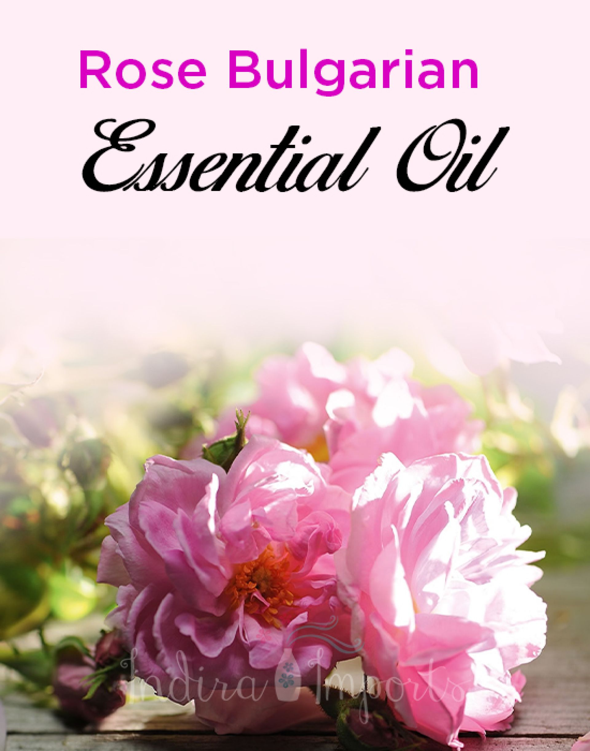 Rose Bulgarian Essential Oil