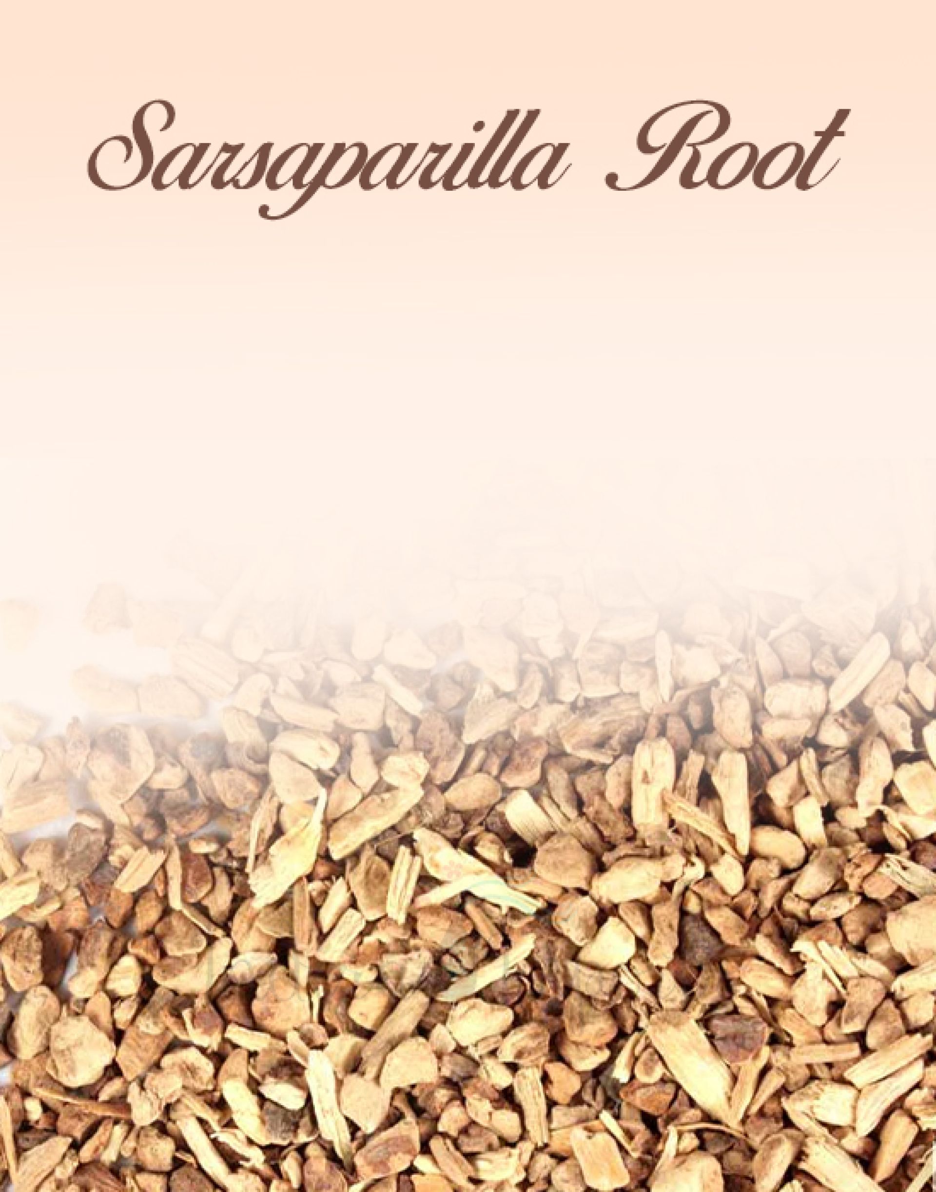 Sarsaparilla Root