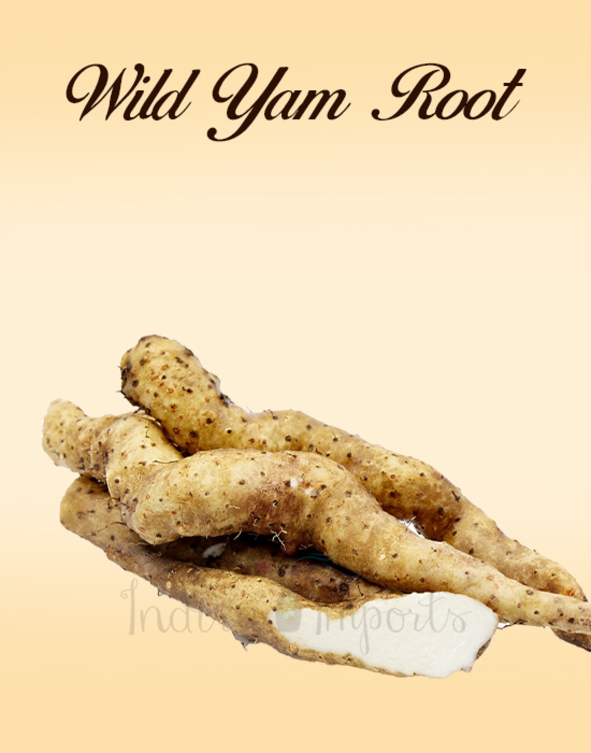 Wild Yam Root