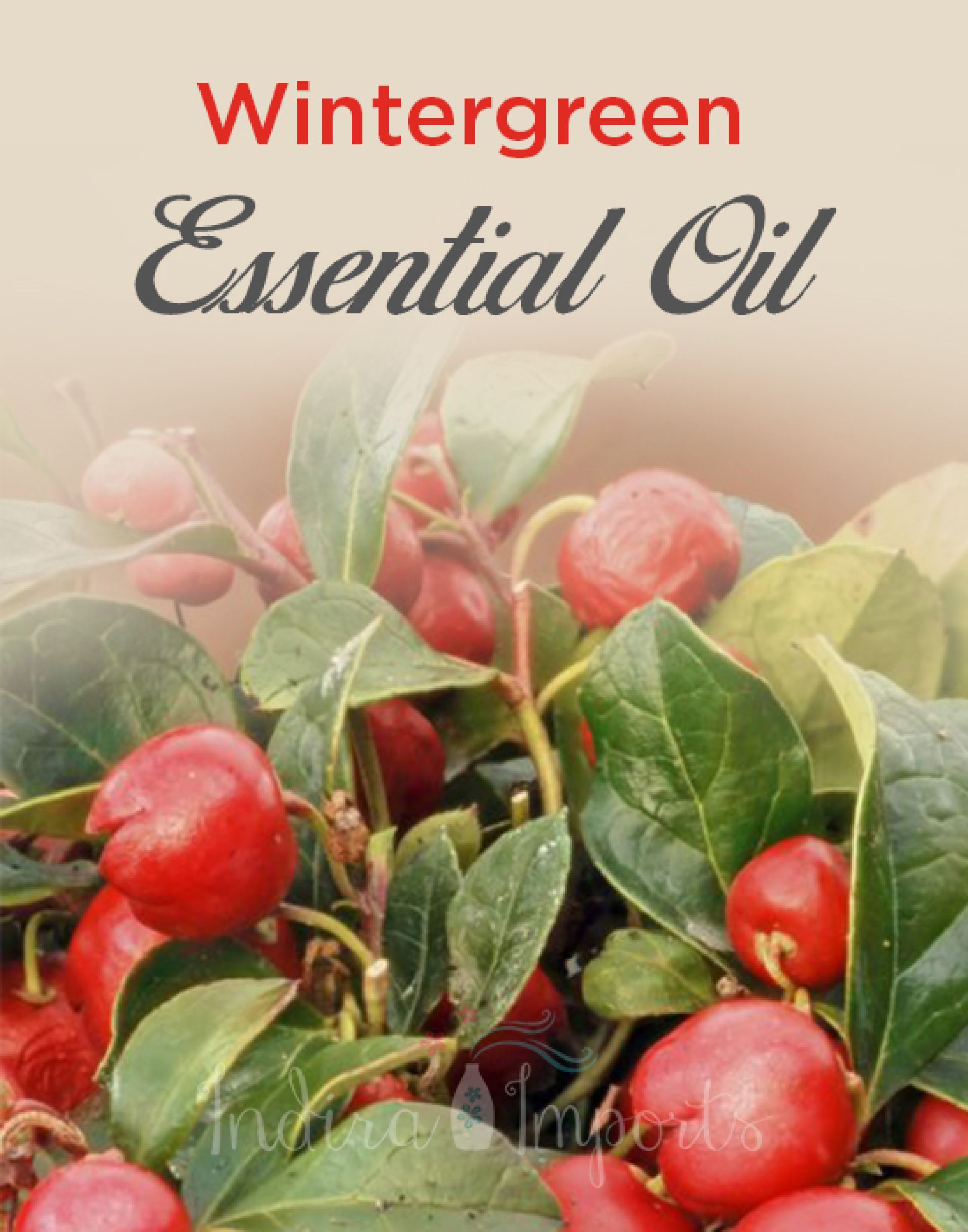 Wintergreen Essential Oil